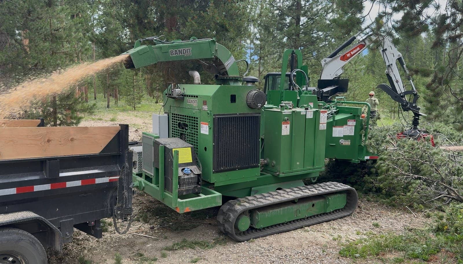 Chipping?? in Colorado