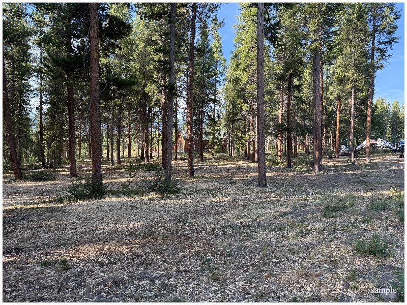 Defensible Space? Near Me