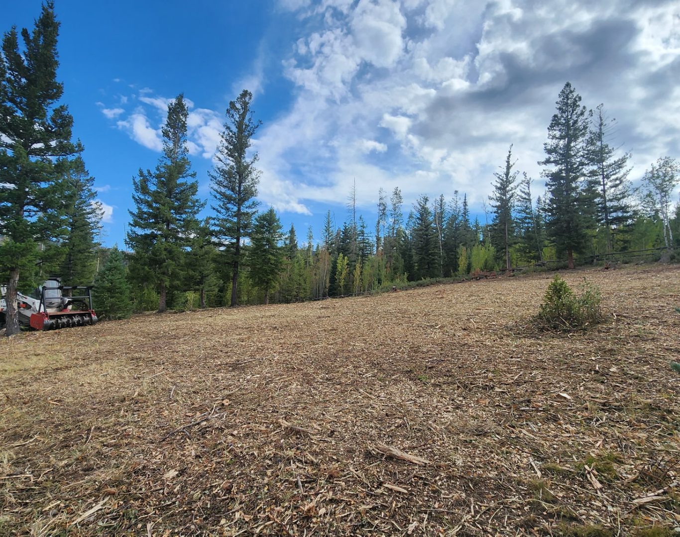 Fuels Reduction in Colorado