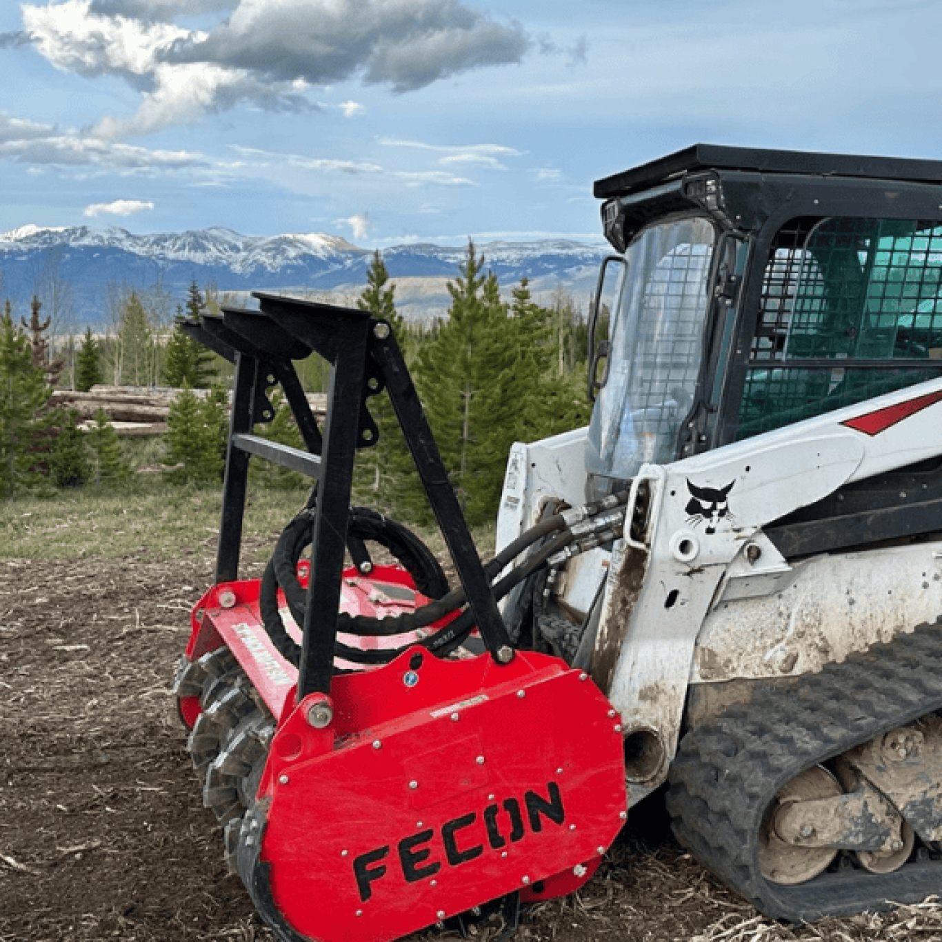 Forestry Mulching?? in Colorado